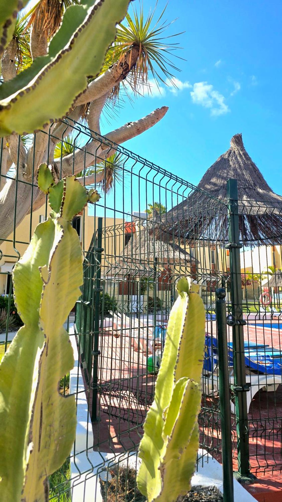 Dream Holiday Las Americas Playa de las Americas  Exterior foto